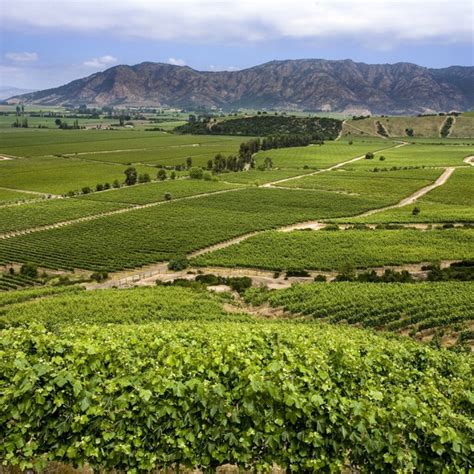 Top Chilean wine regions to visit in 2025 | Winetourism.com