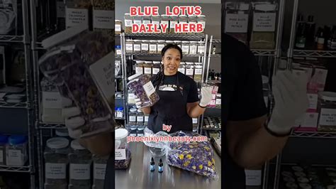 Blue Lotus Natural Aphrodisiac Daily Herb Youtube