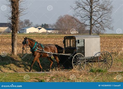 Horse And Buggy Royalty Free Stock Photography 1023317