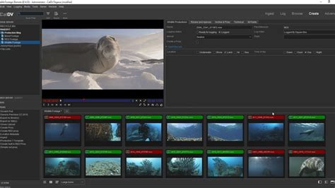 Blackbird Video Editor Alternatives Top 3 Video Editors AlternativeTo