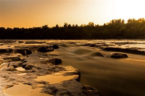 Falls Reserve Conservation Area: Images and Video