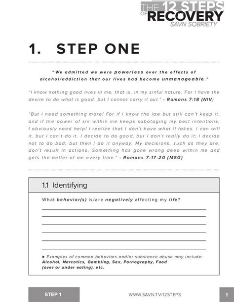 Aa 12 Steps Worksheets