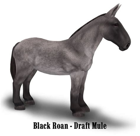 HB_DraftMule – Awesome Breed Creations