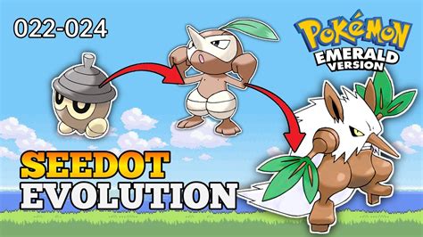 How To Evolve Seedot Into Nuzleaf And Shiftry In Pokemon Emerald