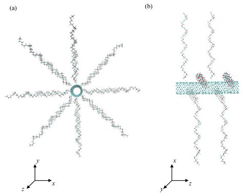 Nanomaterials Free Full Text Adsorption Of Peptides Onto Carbon Nanotubes Grafted With Poly