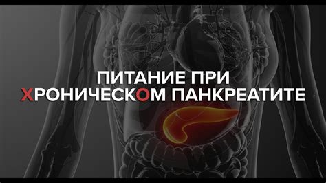Питание при хроническом панкреатите🤘🏻 - YouTube