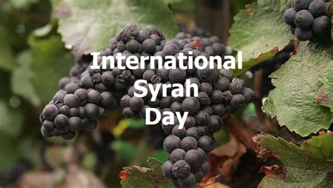 international syrah day   numbers  wine data researcher