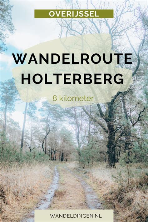 12 Gemarkeerde Wandelroutes Op De Utrechtse Heuvelrug Artofit