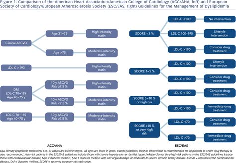 Dyslipidemia Treatment Algorithm