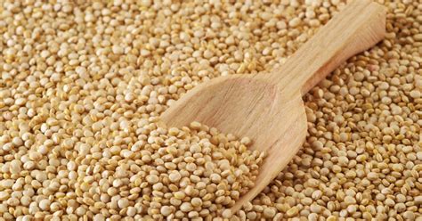 Quinoa Un Auténtico Superalimento