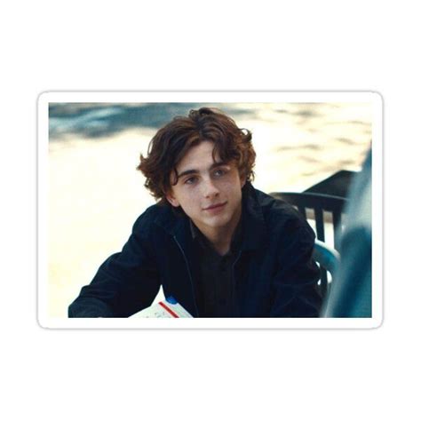 Timothee Chalamet Sticker For Sale By Lilyella Timothee Chalamet