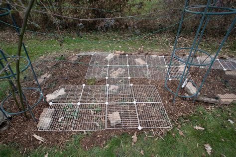 Le Broyat De Bois Au Jardin Le Jardin Qui Se Mange