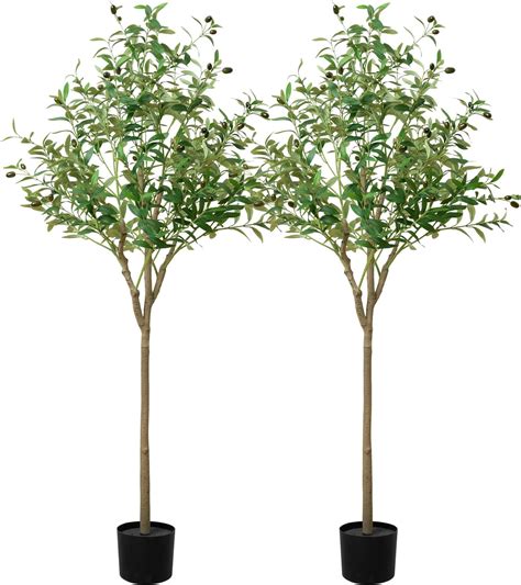 Amazon Kacorn 2 Pack Artificial Olive Tree 6FT Tall Faux Silk