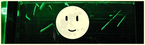 quanta  watching   observer effect physicus minimus