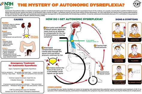 Autonomic Dysreflexia Causes Signs Symptoms Diagnosis And Treatment