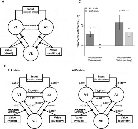 Dcm Model And Results A Overview Of The Variables Regions Of