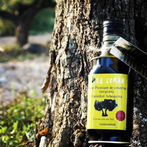 Aceite Verde AOVE La Común variedad Arbequina Cultivo Tradicional