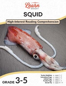 Squid High Interest Reading Comprehension Lesson Plan By Learn Bright