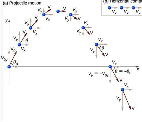 Solved A Projectile Motion D Horizontal Compc Vx Vx Vx Vy Vy Vo