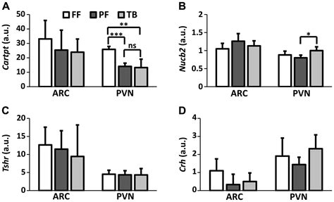 Mcg Induced Cancer Anorexia Cachexia Features Altered Expression Of