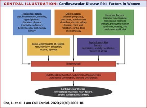 Summary Of Updated Recommendations For Primary Prevention Of Cardiovascular Disease In Women