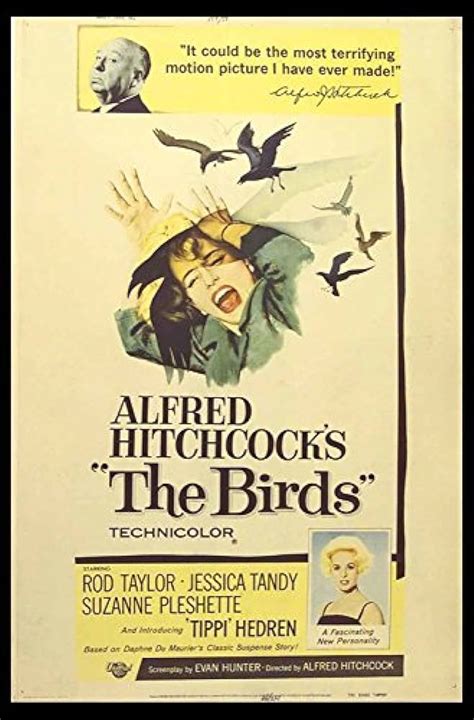 The Birds 1963 Poster