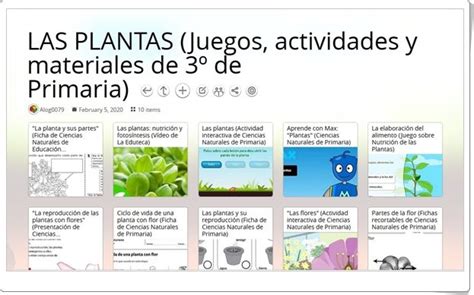 Juegos Actividades Y Materiales Para El Estudio De Las Plantas En