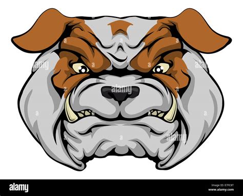 A Mean Bulldog Dog Character Or Sports Mascot Staring Forward Stock