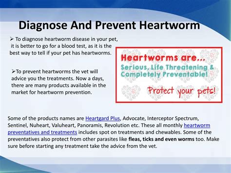 Ppt Learn The Proper Heartworm Disease In Pets Powerpoint