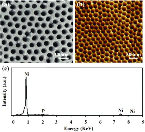 A SEM And B AFM Images Of Nickel Replica And C Its Energy