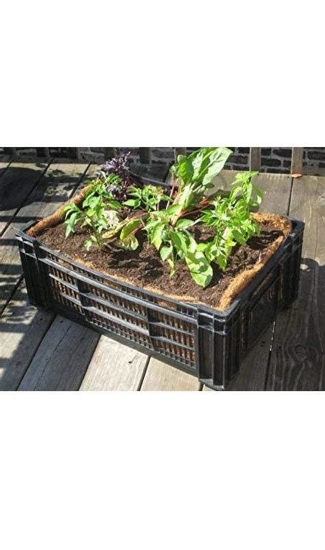 Supreme Rectangular Plastic Vegetable Tomato Crates For Agriculture