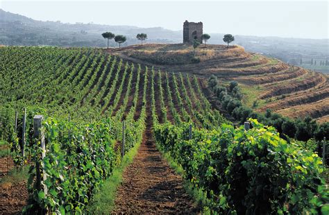 Trip To The Castelli Romani Region With Wine Tasting