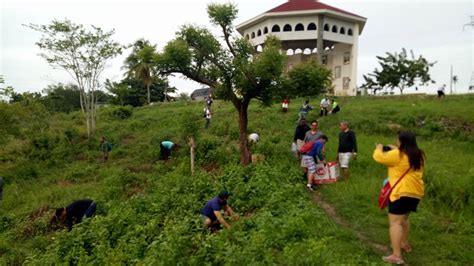 Extraordinary Ministers Of Holy Communion Plant Trees In San Farnando