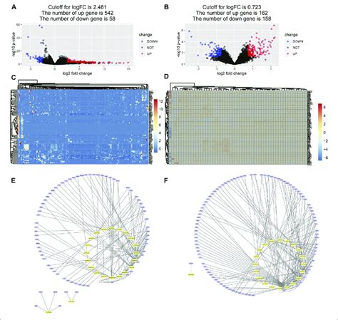 Differentially Expressed Gene Identification And MiRNA DEG