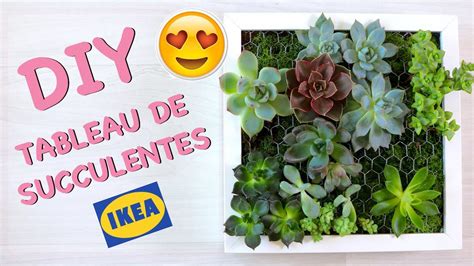 DIY Comment créer un tableau de succulentes Cadre végétal avec