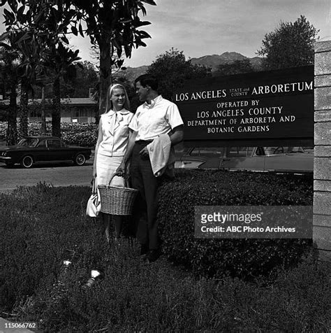 89 Janet Landgard Stock Photos High Res Pictures And Images Getty