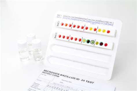 Microgen Bacillus ID Intikemika