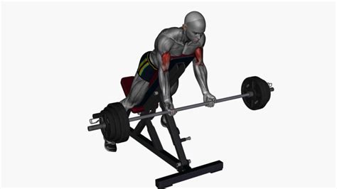 Transform Your Biceps With The Spider Curl Barbell Exercise Your