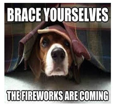 Funny 4th Of July Memes That Every American Can Laugh