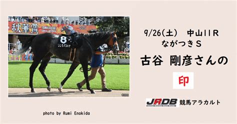 926（土） 中山11r ながつきs 古谷 剛彦さんの印｜jrdb 競馬アラカルト｜note