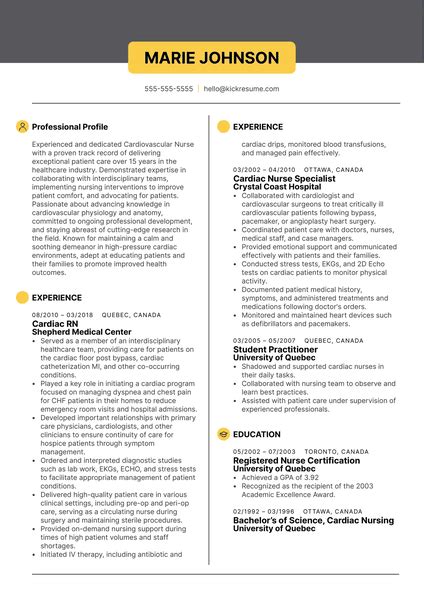 Pediatric Nurse Resume Example Kickresume