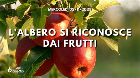 L albero si riconosce dai Frutti Culto Mercoledì 02 11 2022 ADI