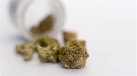 Hybrid Marijuana: More Than Just Indica And Sativa | Canada Cannabis ...