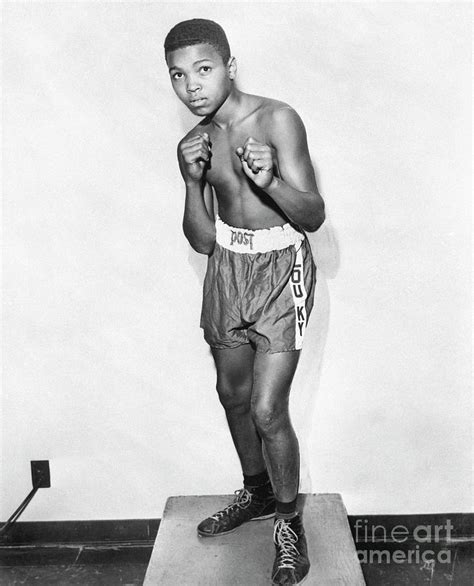 12 Year Old Cassius Clay By Bettmann