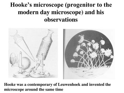 Ppt The History Of Microbiology Key Events That Advanced Our