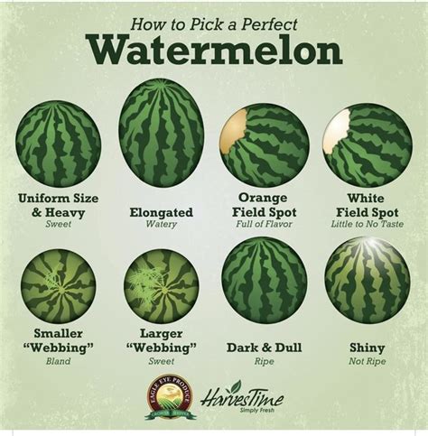 How To Pick The Perfect Watermelon Food Facts Food Hacks Food