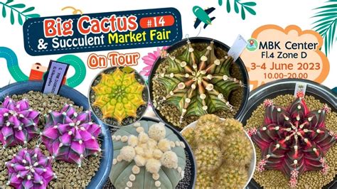 Garden Tour Cactus Fair Big Cactus Succulent Market Fair 14th