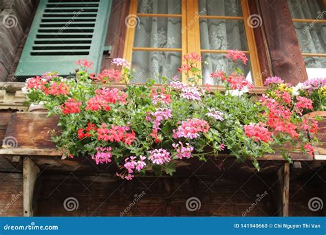 Beautiful Flowers On The Balcony With Red And Pink Colors Stock Photo