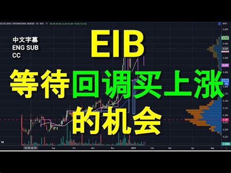 EIB ECOSCIENCE 等待回调买上涨的机会 中英文字幕ENG SUB CC YT会员问股福利 盘后技术分析 18012023