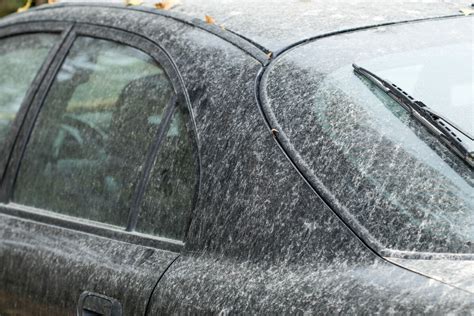 Acid Rain Damage On Cars